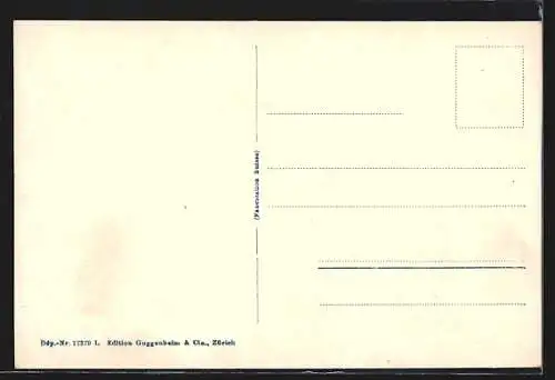 AK Lausanne, Vue générale