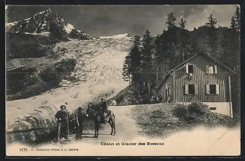 AK Châlet et Glacier des Bossons