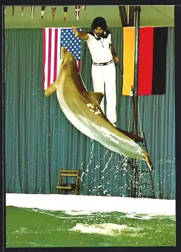 AK Sierksdorf, Delphin springt aus dem Wasser, Florida Delphin-Show im Hansaland