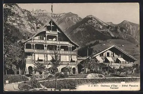 AK Chateau d`Oex, Hotel Pension Torrent gegen die Berge