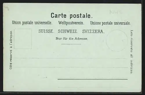 Lithographie Basel, Das Münster