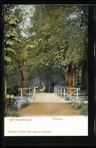 AK Bitterfeld, Zwei Kinder an der Pilzbrücke