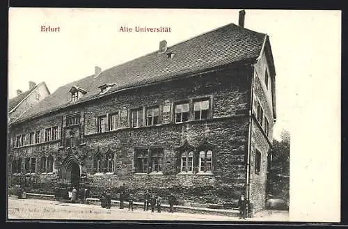 AK Erfurt, Partie an der alten Universität