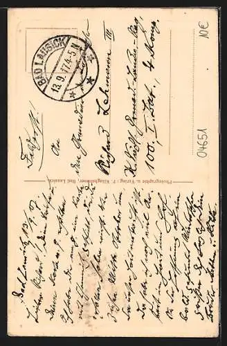 AK Bad Lausick, Der Kurpark Herrmannsbad