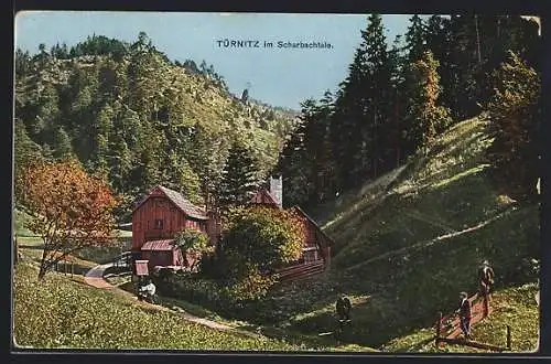 AK Türnitz im Scharbachtale, Besucher vor einer Holzhütte