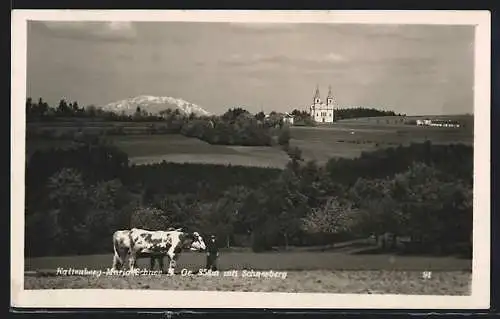 AK Lichtenegg in der Buckligen Welt, Kaltenberg, Wallfahrtskirche Maria Schnee mit Schneeberg