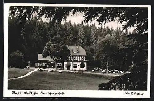AK Oberhof / Th., Waldkaffee mit belebtem Garten