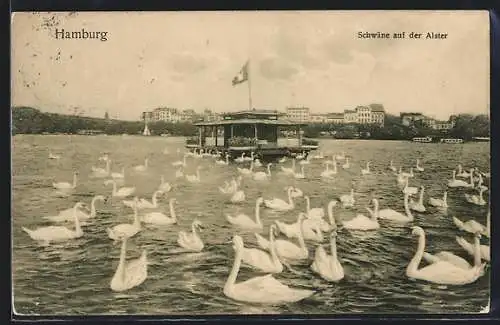 AK Hamburg, Schwäne auf der Alster