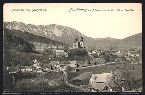 AK Puchberg am Schneeberg, Ortsansicht mit Kirche