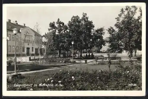 AK Leopoldsdorf im Marchfeld, Parkidylle mit Passanten
