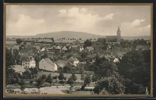 AK Dahlen / Sa., Ortsansicht vom Weinberg mit dem Colmberg