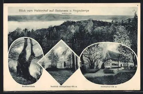 AK Haldenhof / Überlingen, Blick auf Bodensee und Hegauberge, das Gasthaus, die Burkhartlinde