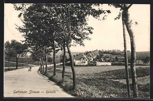 AK Eppendorf i. Sa., Gahlenzer Strasse, Blick zur Kolonie