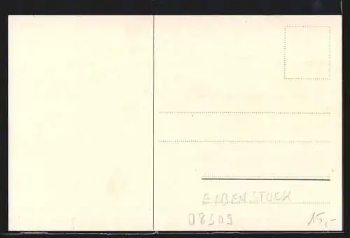 Künstler-AK Auersberg, (Zwickauer-) Unterkunftshaus, Vereins-Zimmer, Ortspartie im Winter