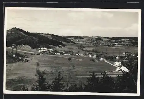 AK Krieselstein / Burgenland, Panoramablick auf den Ort