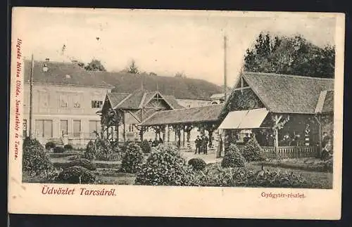 AK Tarcsa, Gyógytér-részlet