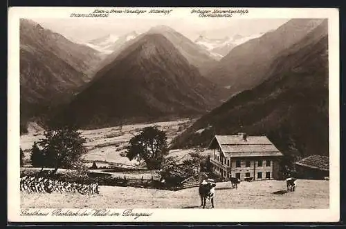 AK Wald im Pinzgau, Gasthaus Rechteck mit Alpenpanorama