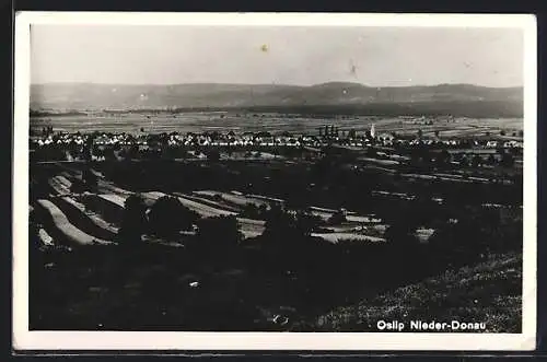 AK Oslip /Nieder-Donau, Ortsansicht aus der Vogelschau