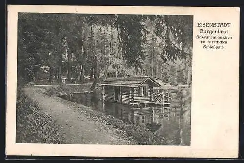 AK Eisenstadt, Schwanenhäuschen im fürstlichen Schlosspark