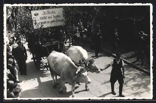 AK Stockheim / Kreuzau, Festzug der Tausend-Jahr-Feier 1911, Festwagen