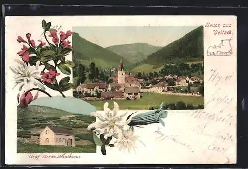 Lithographie Veitsch, Gesamtansicht vom Berghang, Graf Meran-Schutzhaus, Alpenblumen