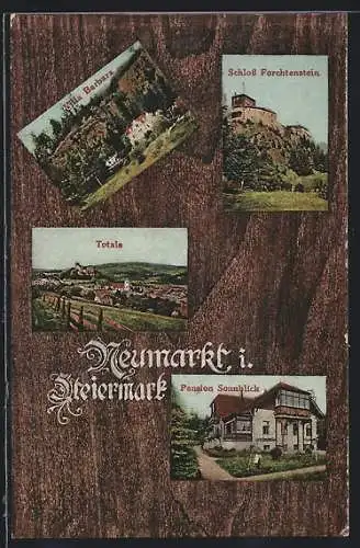 AK Neumarkt /Steiermark, Villa Barbara, Schloss Forchtenstein, Pension Sonnblick