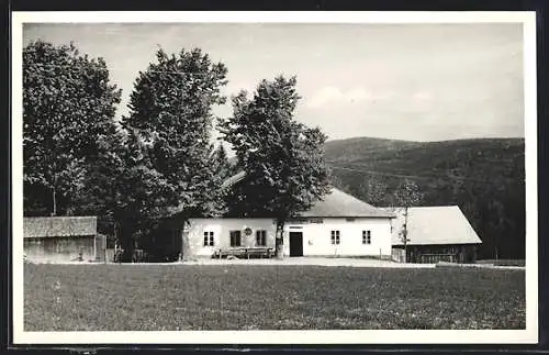 AK Ulrichsberg /O.-Oe., Blick zum Gasthaus v. Franz Steininger