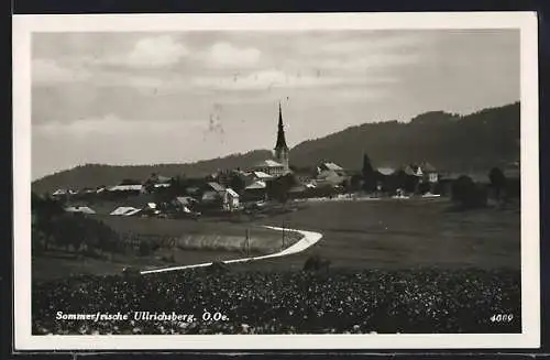 AK Ulrichsberg /O. Oe., Ortspanorama mit Landstrasse