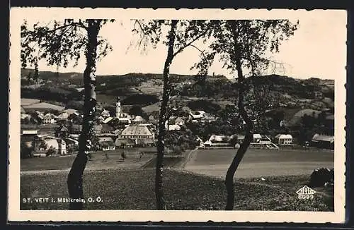 AK St. Veit /Mühlkreis, Ortsansicht von einer Anhöhe