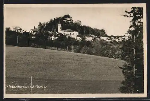 AK Wolfsegg /OÖ., Ortsansicht von einem Feld aus