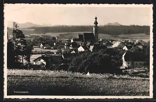AK Vöcklamarkt, Ortsansicht mit Bergpanorama, von einer Anhöhe gesehen
