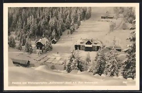 AK Stadl a. d. Mur /Steiermark, Pension Kaltwasser im Schnee