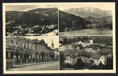 AK Weissenbach an der Triesting, Zwei Ansichten des Triestingheims & Schneeberg vom Jagasitz