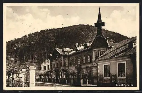 AK Weissenbach a. d. Tr., Triestingheim, Blick auf das Bauwerk