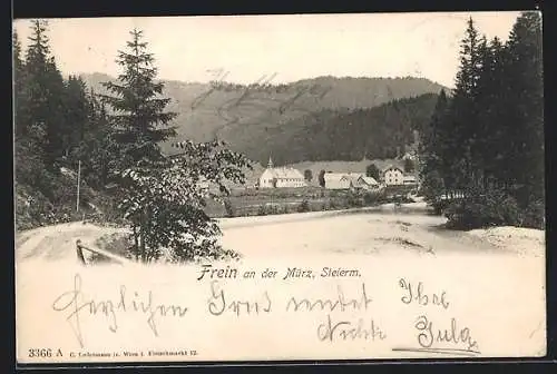 AK Frein an der Mürz, Blick zum Ort hinüber vom Weg aus