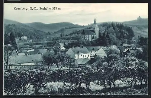 AK Kaumberg, Ortspartie mit Kirche