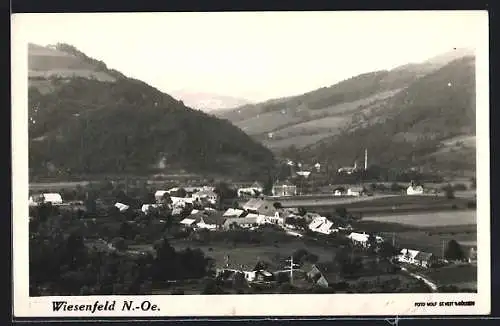 AK St. Veit an der Gölsen, Wiesenfeld mit Umgebung