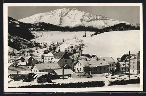 AK Mitterbach, Ortsansicht im Winter gegen Ötscher