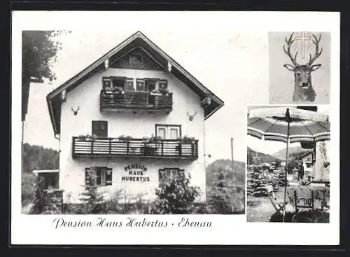 AK Ebenau b. Salzburg, Hotel-Pension Haus Hubertus