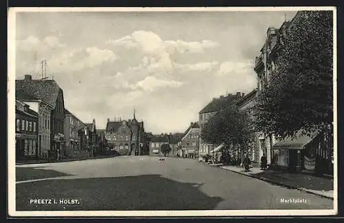 AK Preetz /Holst., Ortspartie mit Geschäften
