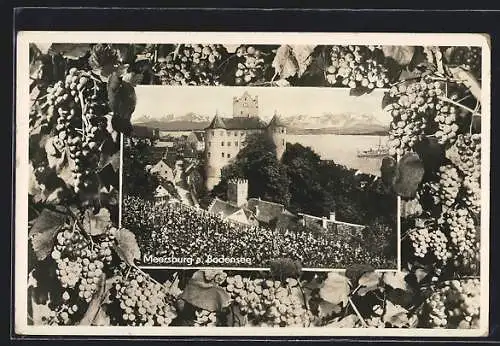 Passepartout-AK Meersburg /Bodensee, Teilansicht mit Burg und Bodenseeblick, Weintrauben