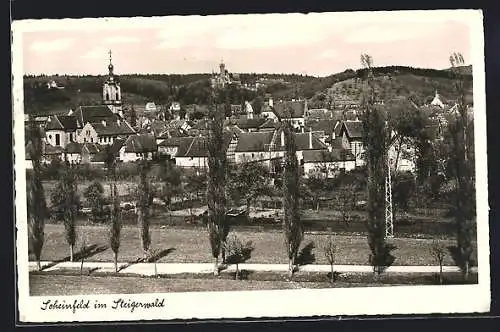 AK Scheinfeld /Steigerwald, Totalansicht mit Allee aus der Vogelschau