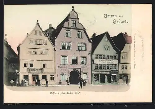 AK Erfurt, Gasthaus zur hohen Lilie mit Nachbarhäusern