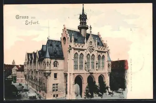 AK Erfurt, Rathaus mit Bäumen