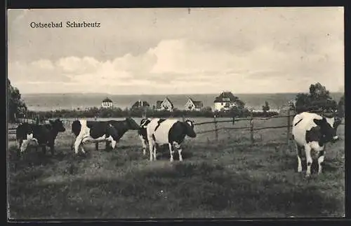 AK Scharbeutz, Ortsansicht mit Kuhweide