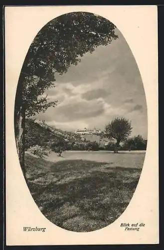 AK Würzburg, Blick auf die Festung