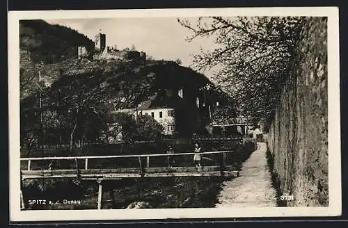 AK Spitz a. d. Donau, Ortspartie mit Blick zur Burg
