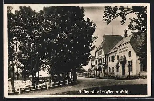 AK Wien, Gasthof und Meierei Sofienalpe im Wiener Wald