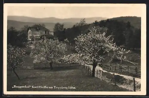 AK Troppberg, Berggasthof Karl Pfeiffer