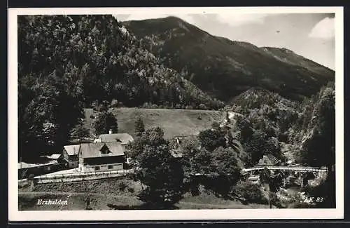 AK Landl /Steiermark, Erzhalden, Ortsansicht im Bergidyll